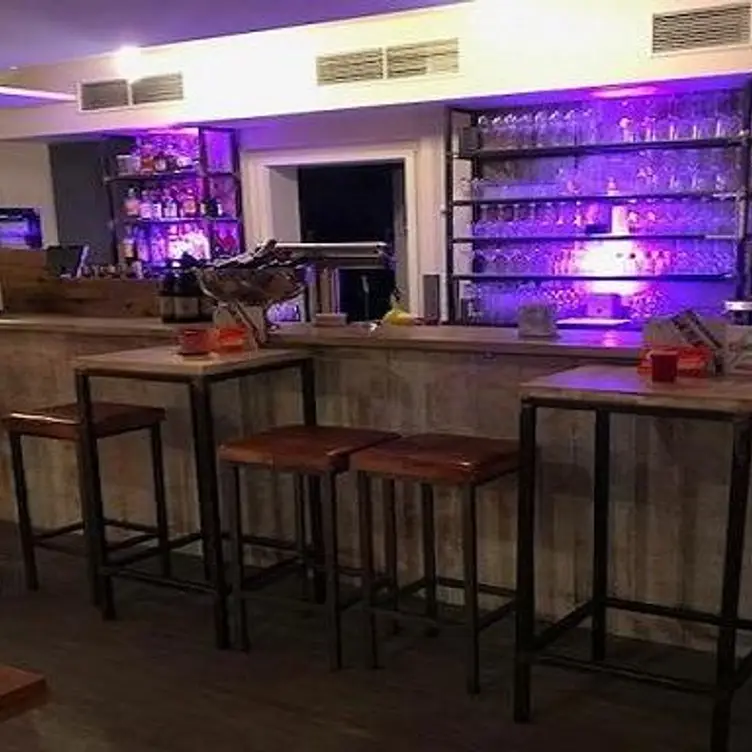 VINCENZ - Kitchen, Cologne, North Rhine-Westphalia
