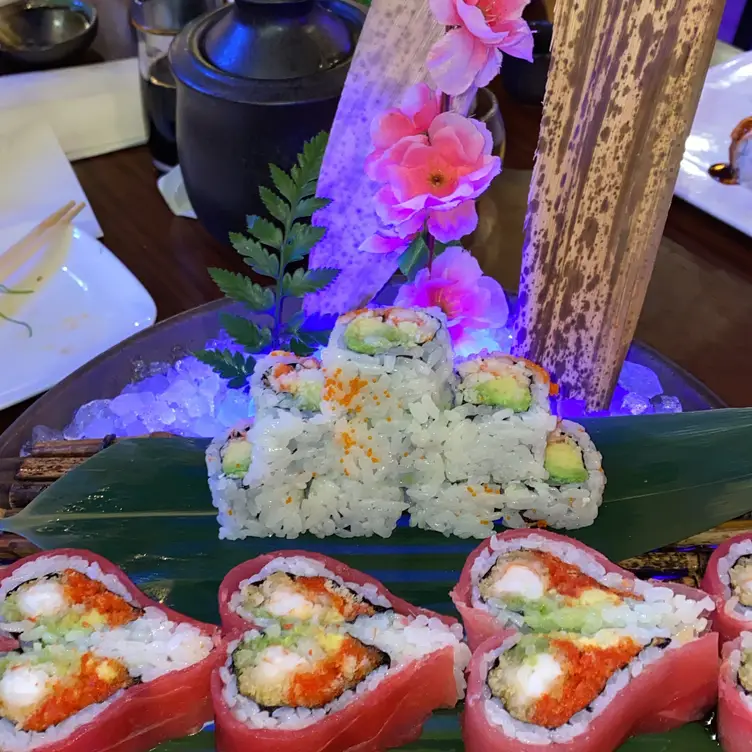 Ajisai Japanese Fusion Restaurant Raleigh, , NC OpenTable