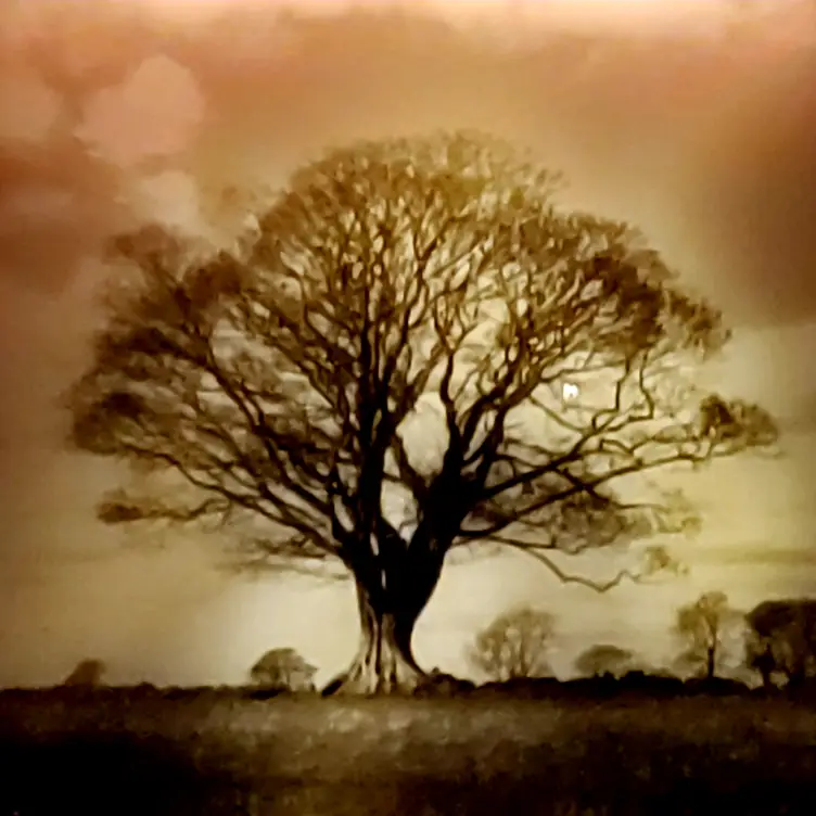 Tender Steakhouse Luxor Restaurant Las Vegas, NV OpenTable