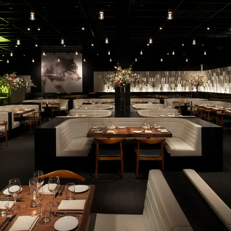 STK – Denver CO Denver