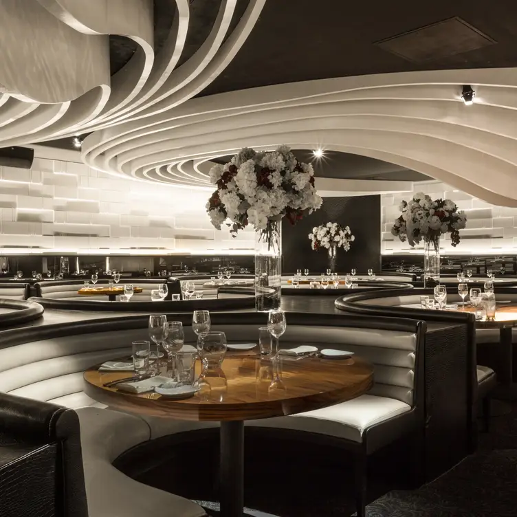 STK – Chicago，ILChicago