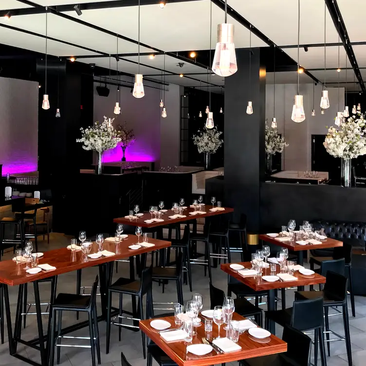 STK – Miami Beach，FLMiami