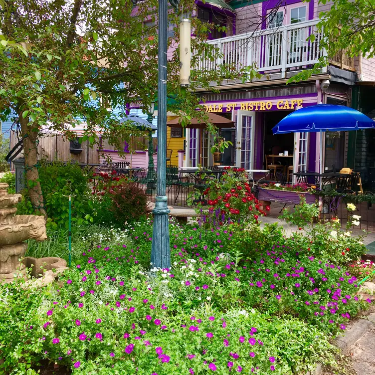 Dale Street Bistro, Colorado Springs, CO