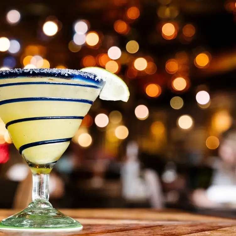 Rocco's Tacos and Tequila Bar- Naples, Naples, FL Rocco's Tacos and Tequila Bar- Naples, Naples, FL