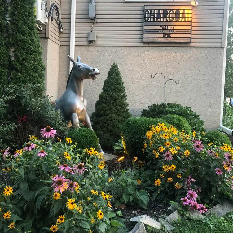 Charcoal BYOB - Top Rated Restaurant in Yardley, PA | OpenTable