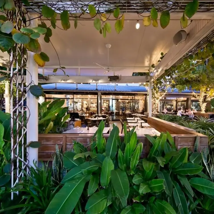 Harveys Bar and Bistro，AU-QLDBrisbane