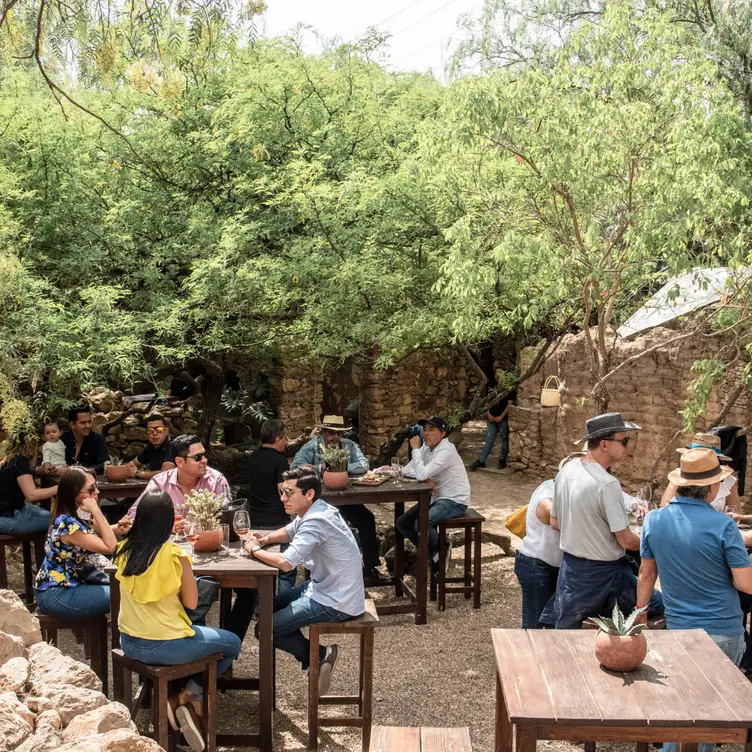 Restaurante Ruinas - Viñedos Puerta del Lobo, Querétaro, QUE