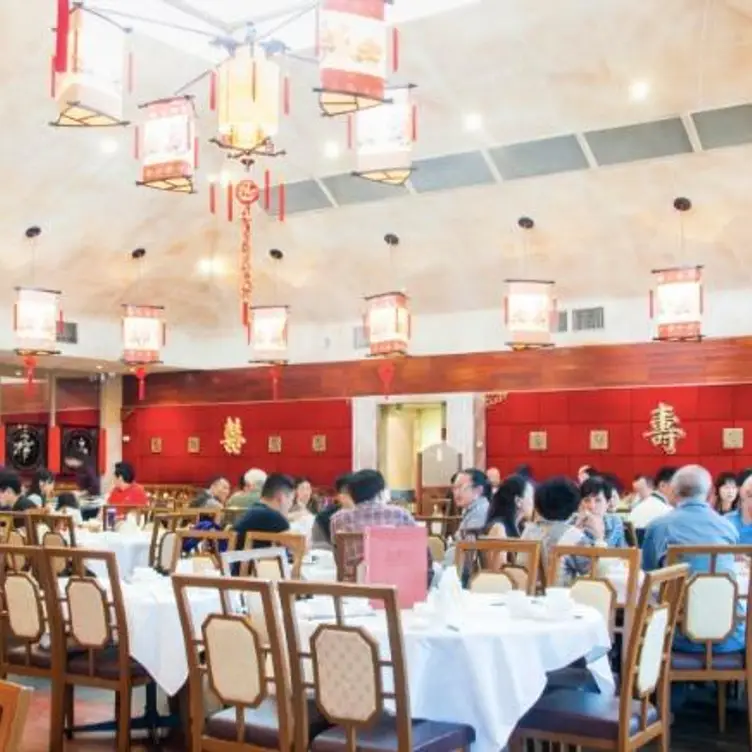 Gold Leaf Chinese Restaurant Burwood Melbourne, VIC OpenTable