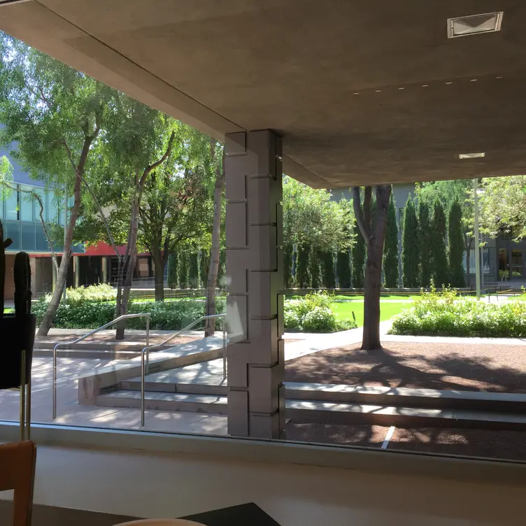 Palette at Phoenix Art Museum Restaurant Phoenix, AZ OpenTable