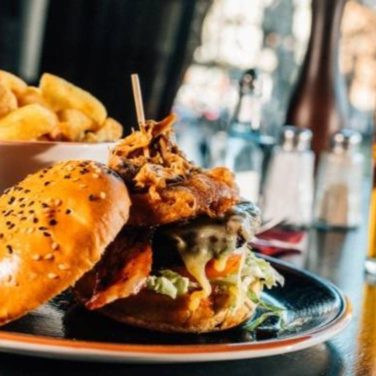 burger the cat from hell