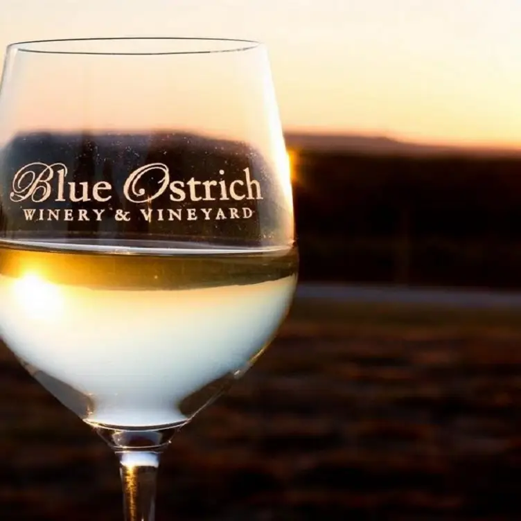 Blue Ostrich Winery & Vineyard, Saint Jo, TX