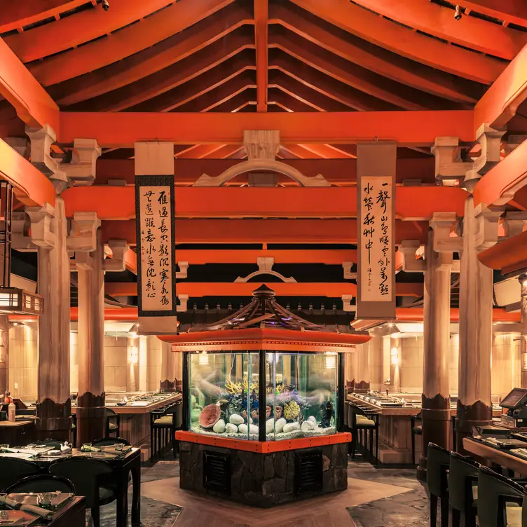 Shogun Japanese Restaurant，CairoCairo