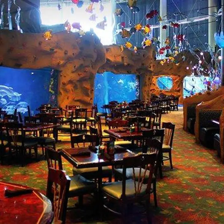 Aquarium Restaurant - Downtown Denver - Denver, CO | OpenTable