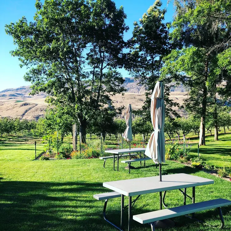 Snowdrift Cider Co., East Wenatchee, WA