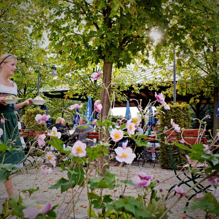 Alte Galerie/Biergarten, Hohenkammer, BY