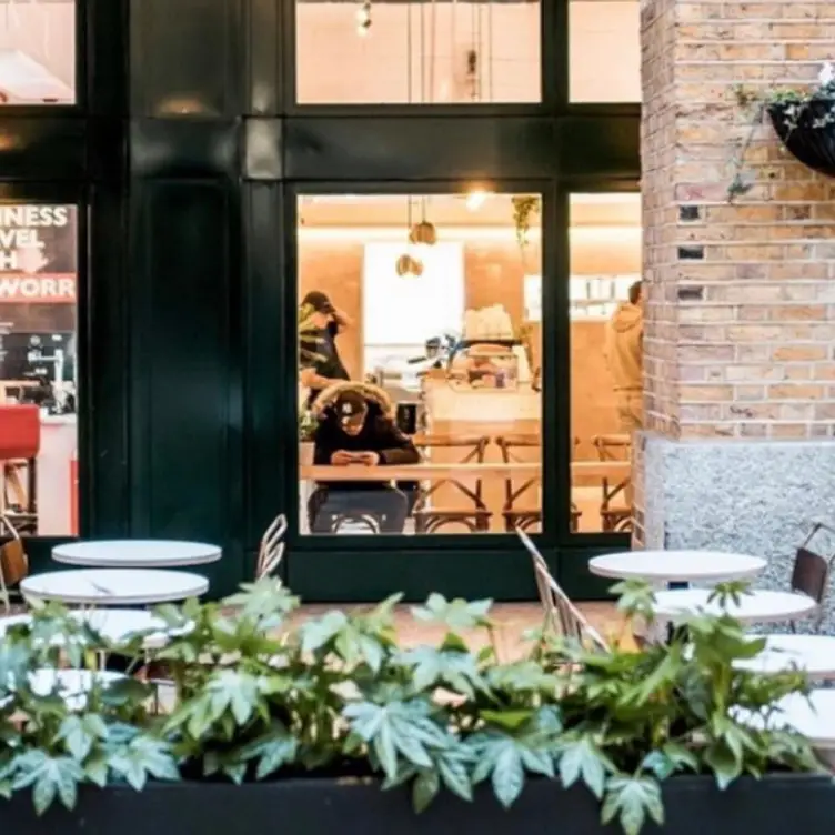 White Mulberries - Hay’s Galleria, London, Greater London