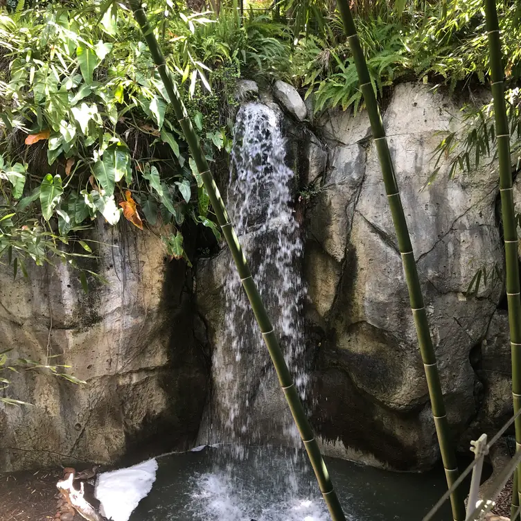 Albert's Restaurant San Diego Zoo San Diego Book on OpenTable now