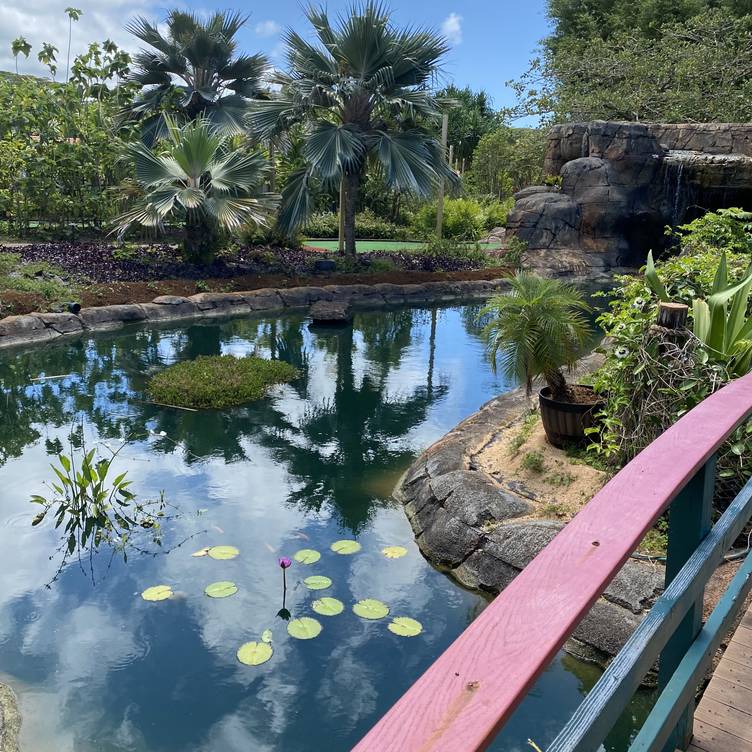 Blt Steak Waikiki Restaurant Honolulu Hi Opentable