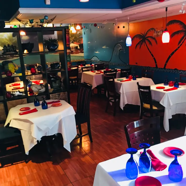 Ola Wallingford Updated 2024, Latin American Spanish Restaurant in