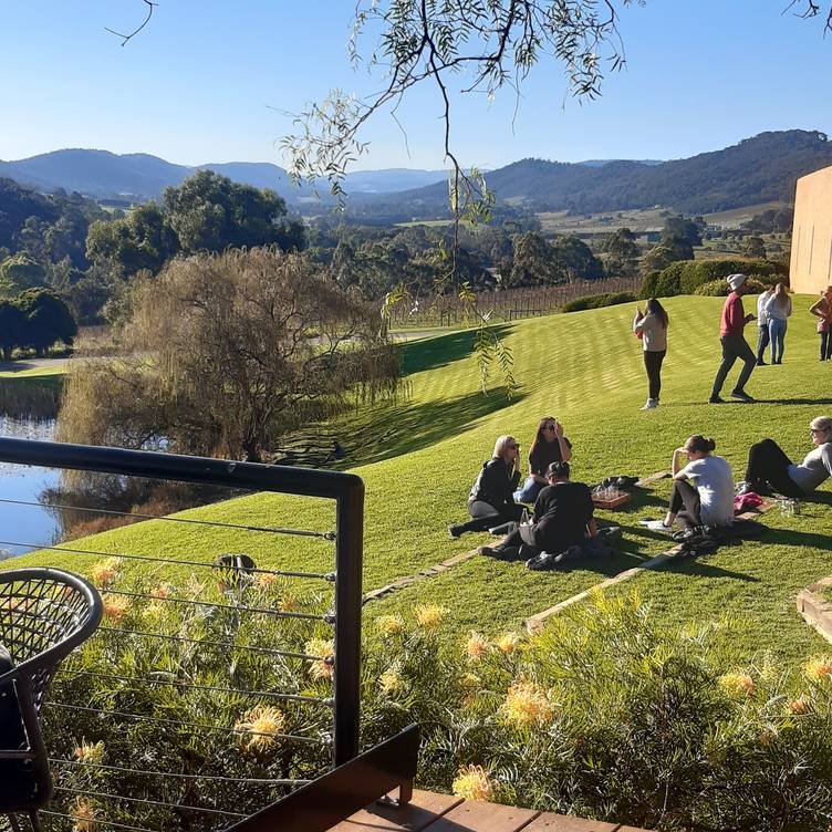 TarraWarra Estate Restaurant Updated 2025, Australian Restaurant