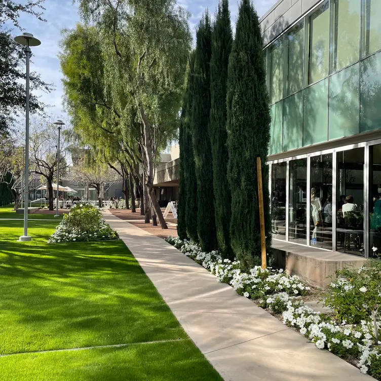 Palette at Phoenix Art Museum Restaurant Phoenix, AZ OpenTable