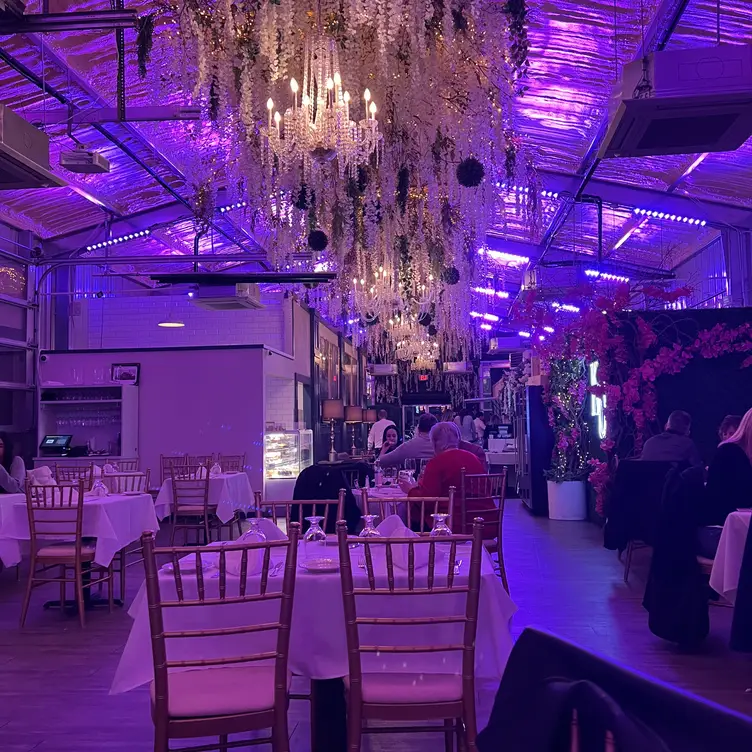 king-umberto-restaurant-elmont-ny-opentable