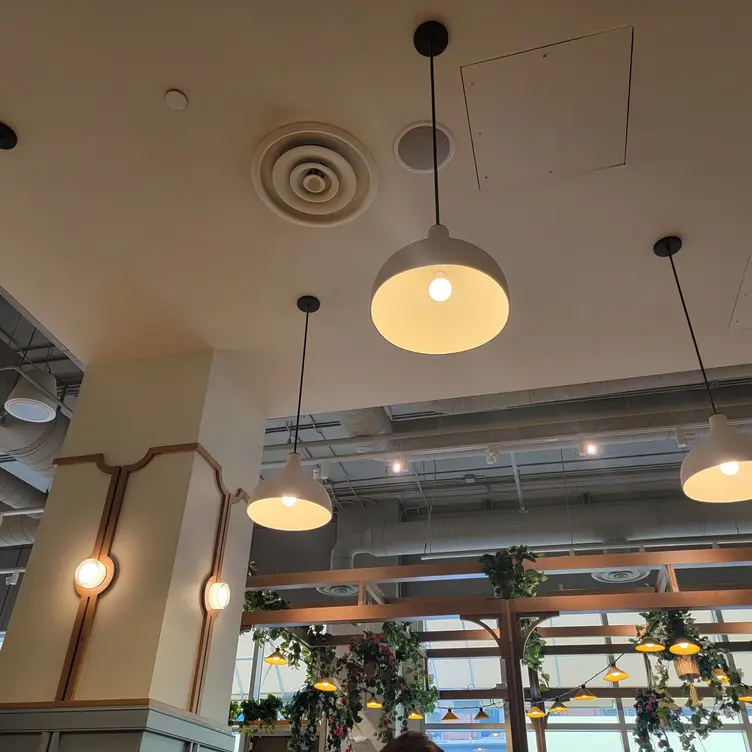 Five things you must try at the new Tupelo Honey in Grand Rapids 