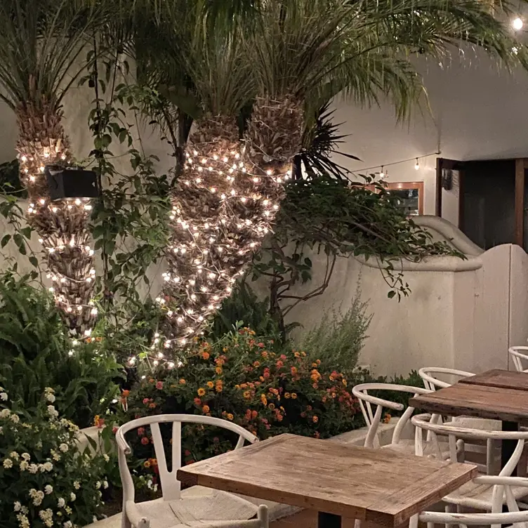 Rumfish y Vino Ventura, CA Restaurant Ventura, CA OpenTable