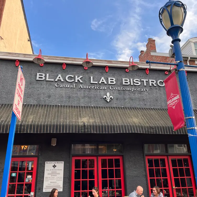 Black Lab Bistro Restaurant Phoenixville, PA OpenTable