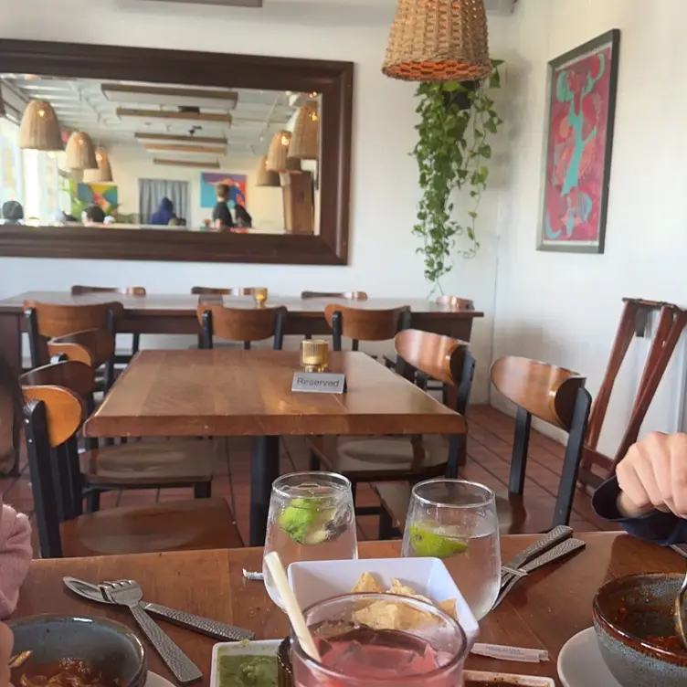 El Alma Cafe y Cantina Restaurant Austin, TX OpenTable