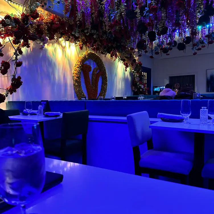 Vistamar Restaurant & Lounge, Bronx, NY