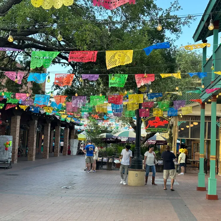 La Margarita, San Antonio, TX