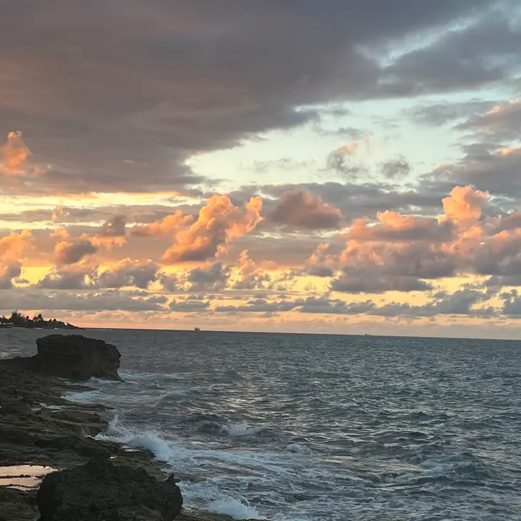 Tacos & Tequila Restaurant San Juan, PR OpenTable