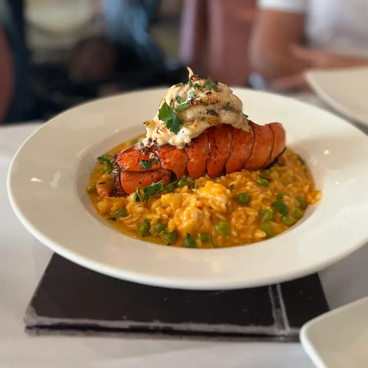 Osteria Italian Restaurant Greensboro, NC OpenTable