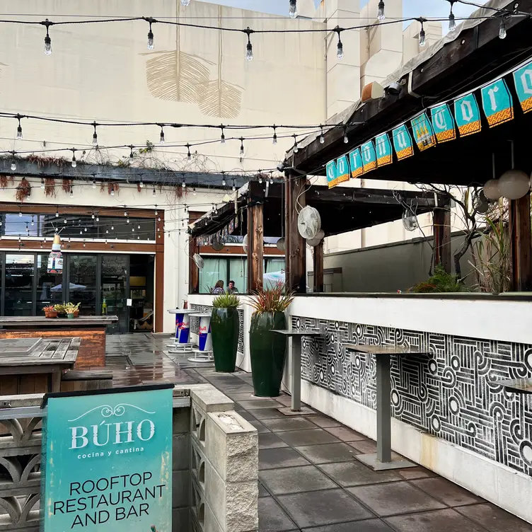 Buho Cocina y Cantina Restaurant Honolulu, HI OpenTable