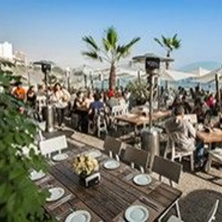 Mangos Restaurant Updated 2023 Book your table now