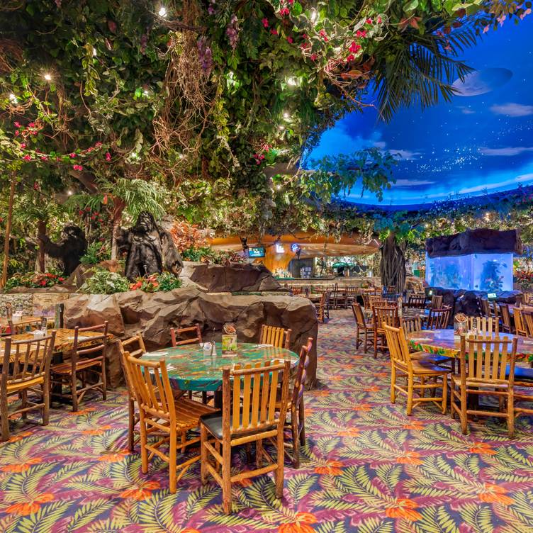 Outside the Cafe - Picture of Rainforest Cafe, Schaumburg - Tripadvisor
