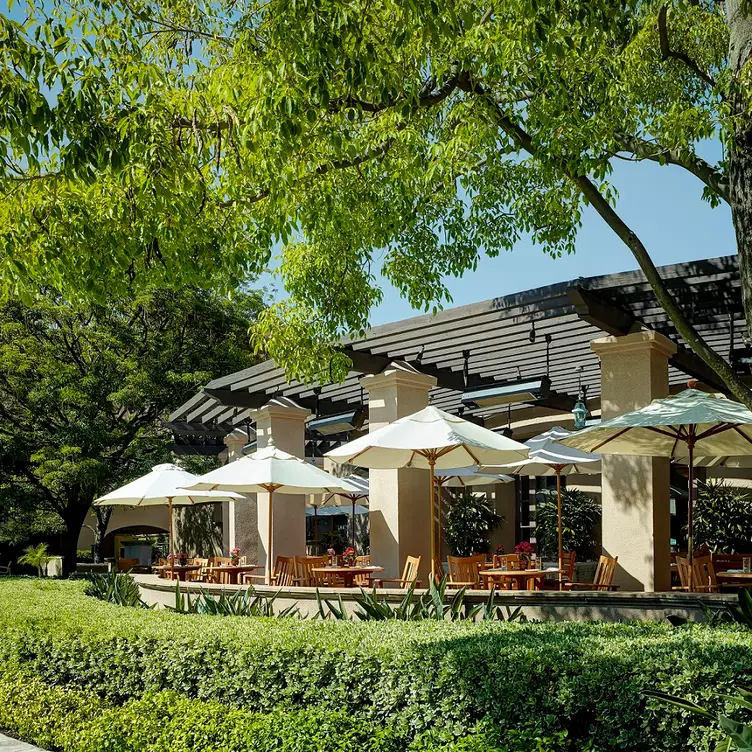 The Terrace Restaurant Patio - The Terrace at The Langham, Pasadena, Pasadena, CA