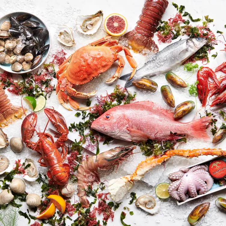 Oceanaire Seafood Room - Dallas, Dallas, TX Oceanaire Seafood Room - Dallas, Dallas, TX