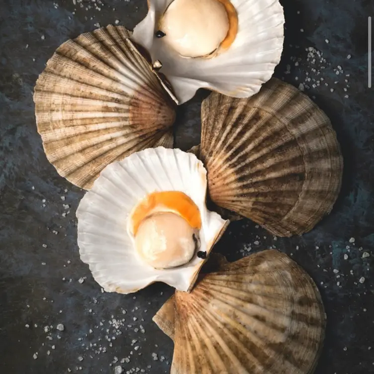 Porterhouse Bourbon & Bones Restaurant El Segundo, CA Book on OpenTable