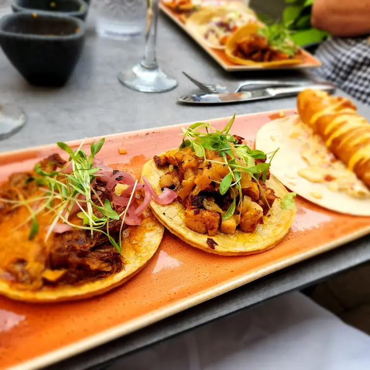 Mago Grill & Cantina Arlington Heights Restaurant Arlington Heights