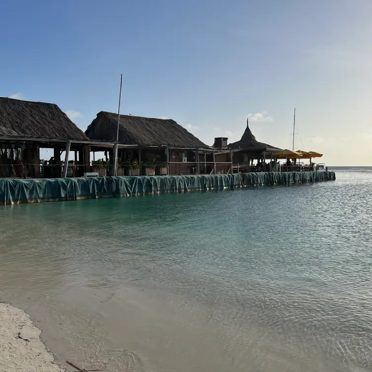 Pelican Nest Seafood Grill Restaurant Palm Beach, , Aruba OpenTable