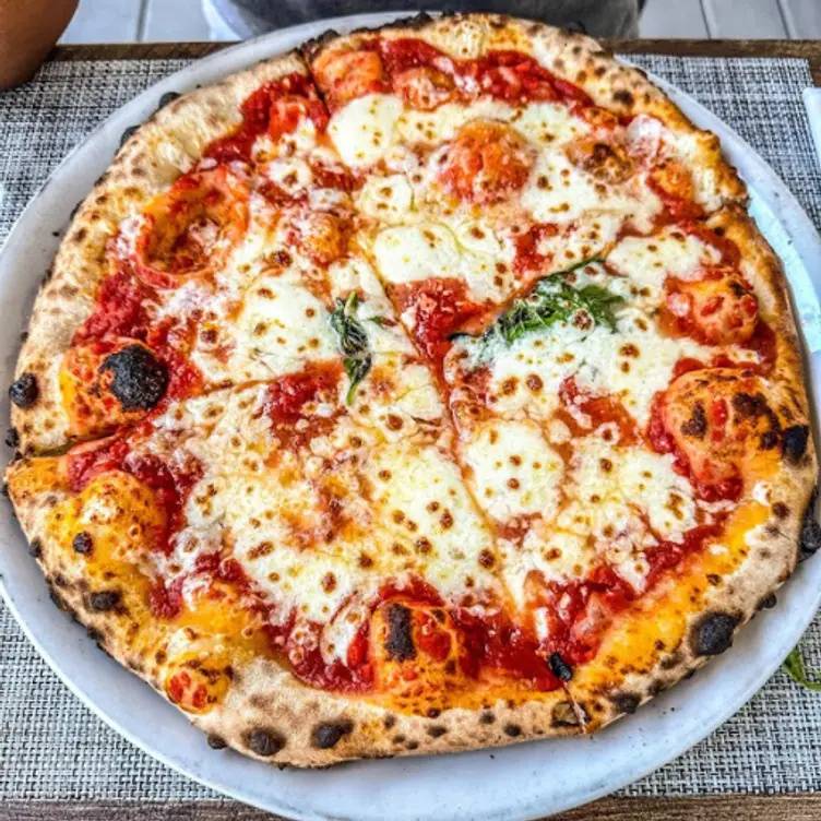 Onlywood Grill Restaurant Key West, FL OpenTable