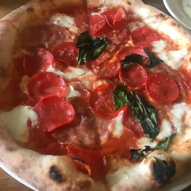 Restaurant Ardente, Pizzeria Napoletana Condesa Ciudad de México