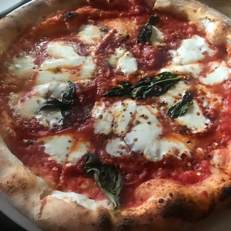 Restaurant Ardente, Pizzeria Napoletana Condesa Ciudad de México