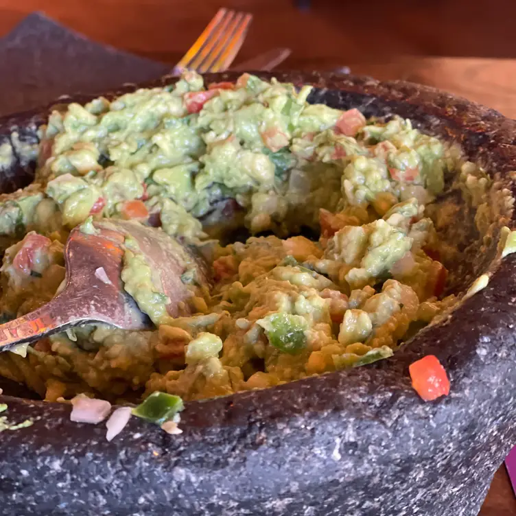 Mago Grill & Cantina Arlington Heights Restaurant Arlington Heights