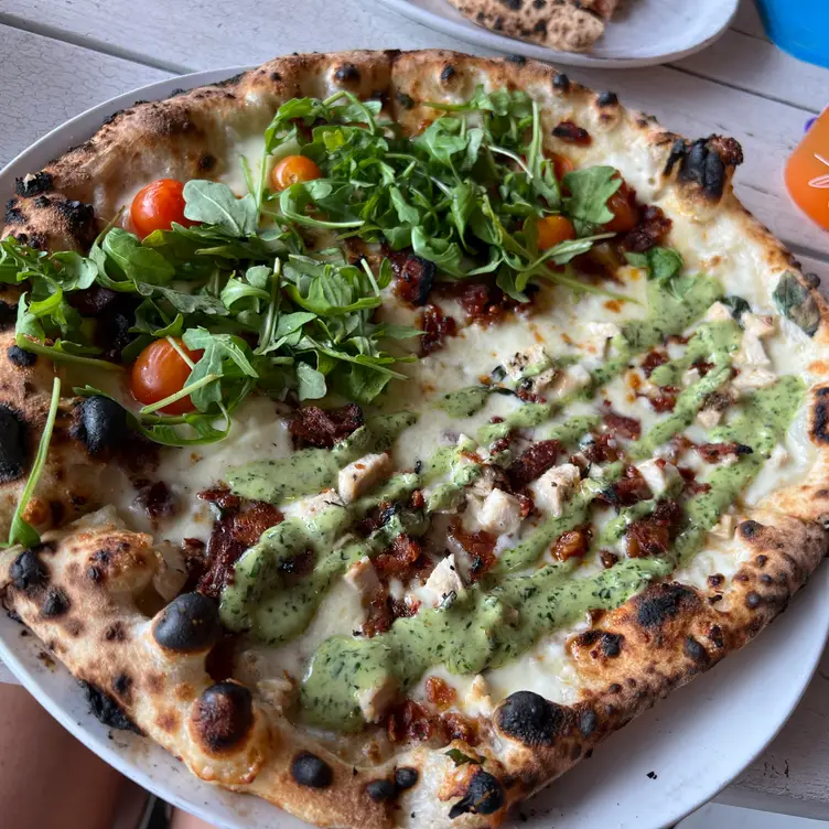 Cane Rosso Carrollton Restaurant Carrollton, TX OpenTable