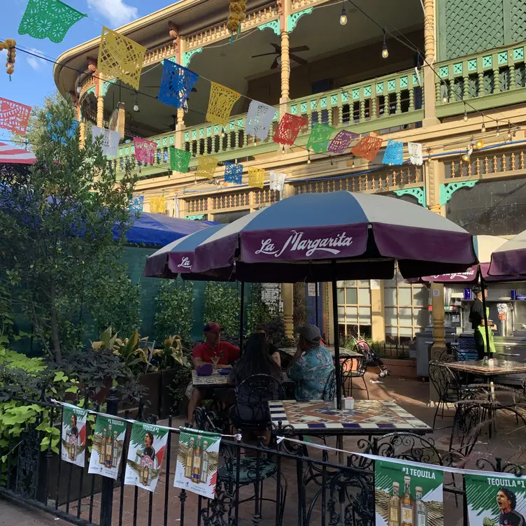 La Margarita Restaurant San Antonio, , TX OpenTable