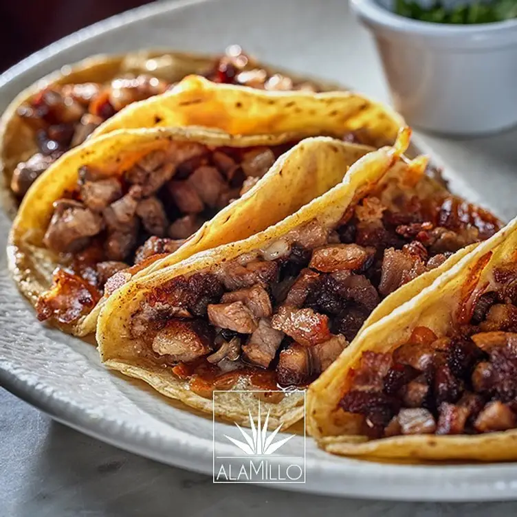 Taquería del Alamillo，Madrid