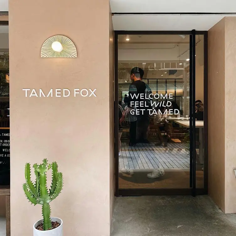 TAMED FOX 大安店，TPETaipei City